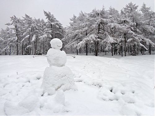     
: DSC03100-Snowman-23.05.15..jpg
: 634
:	148.4 
ID:	15077