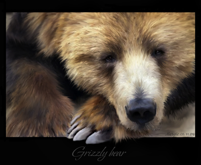  Grizzl